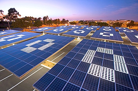 Additional image 1 for ছাগলের দুধ